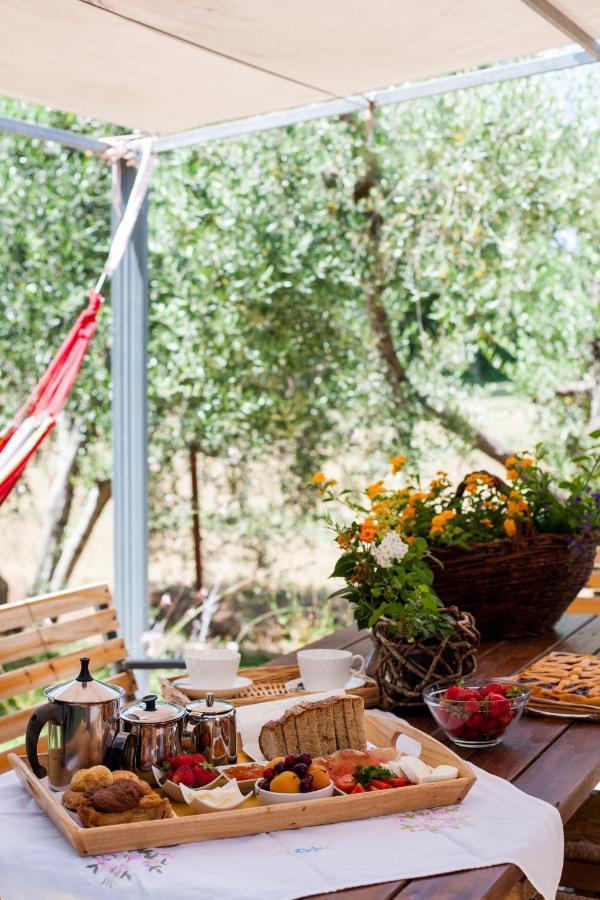 Agriturismo Fontetrilla Orbetello Kültér fotó